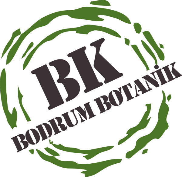 BK Bodrum Botanik | Bitki, Peyzaj Malzemesi ve Danışmanlık Hizmeti